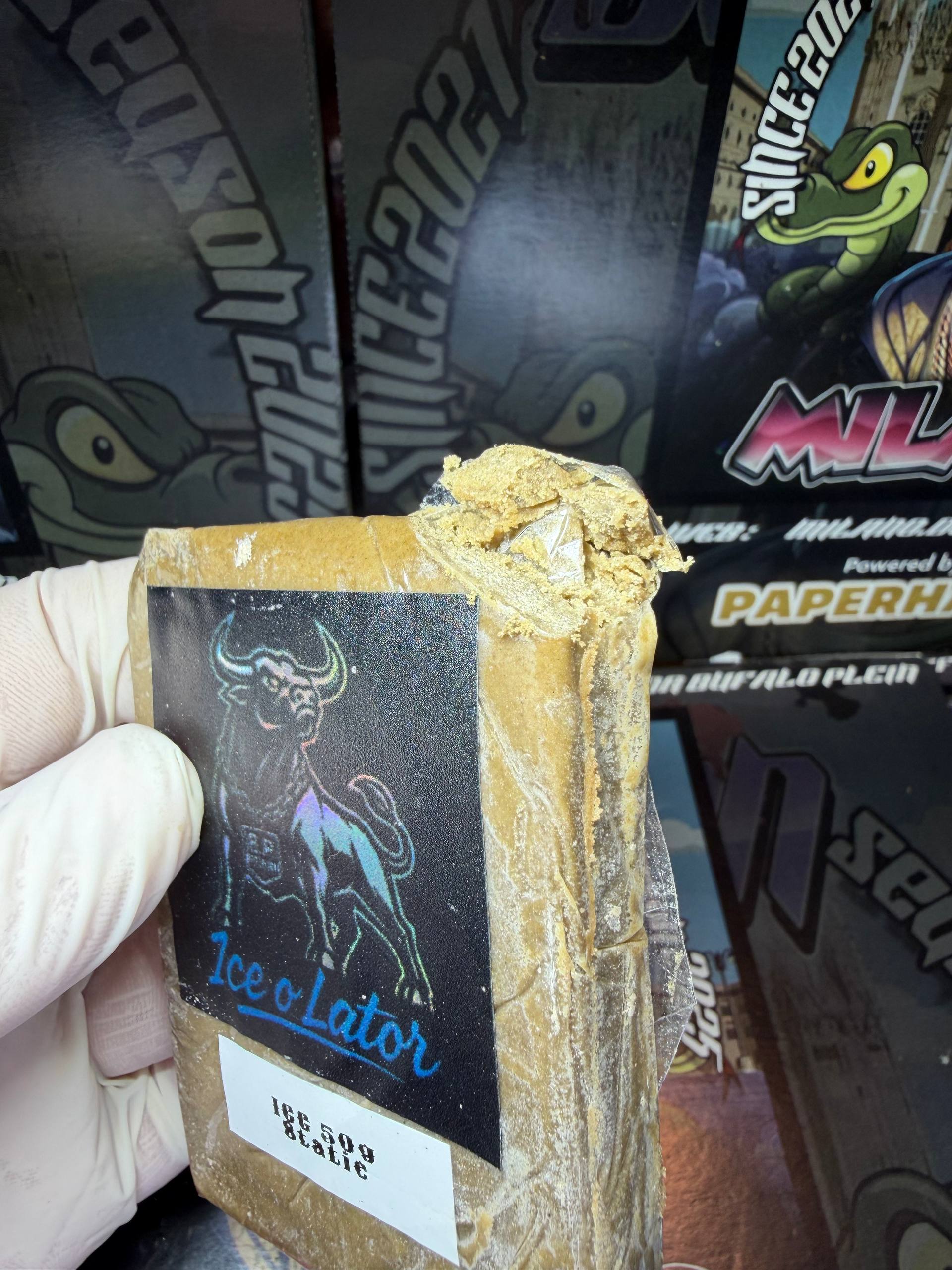 Statico Da Ice Bufalo Plein - ICC