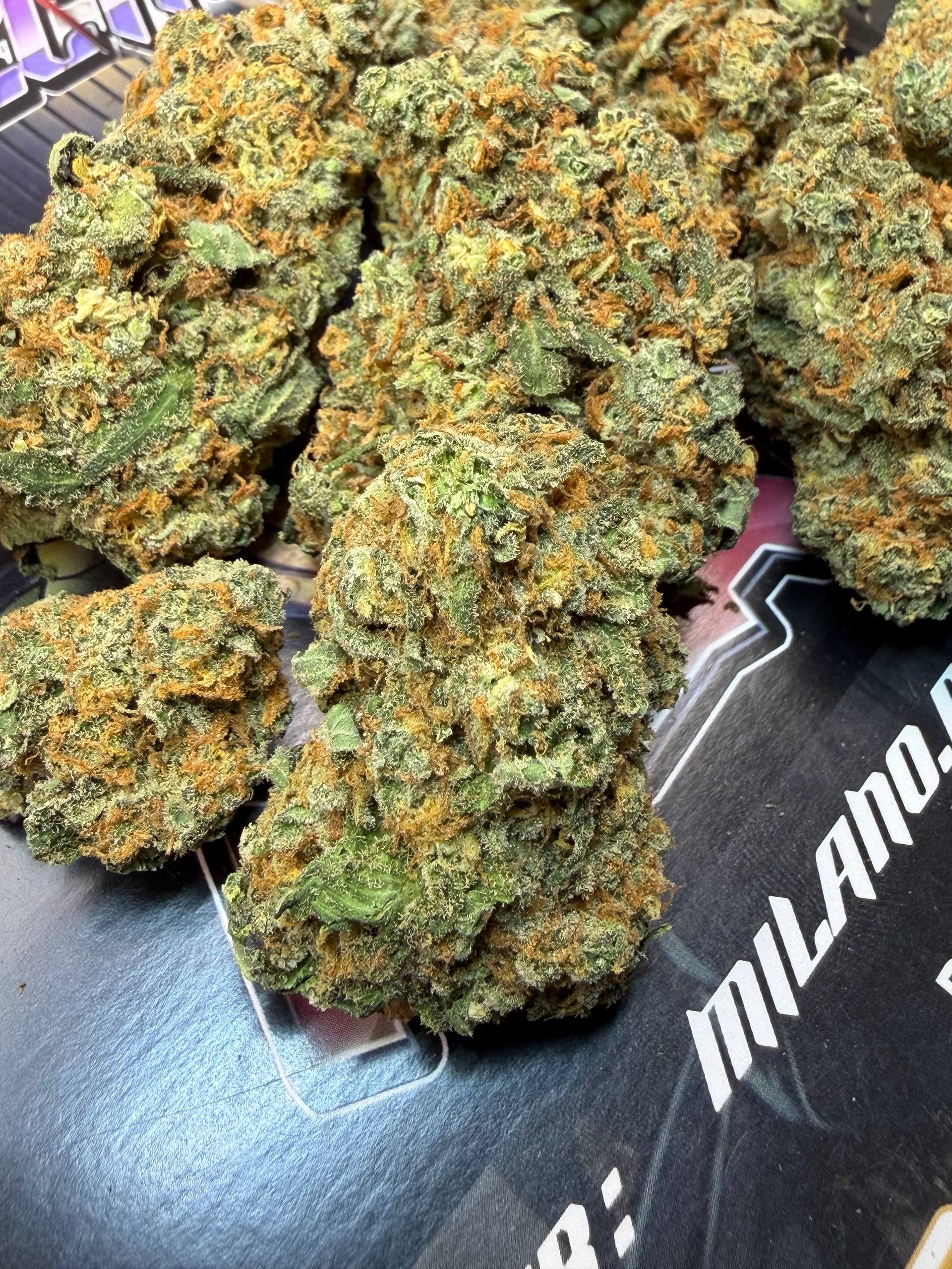 Top Shelf Doc. Grow Spain - MANGORELLA 