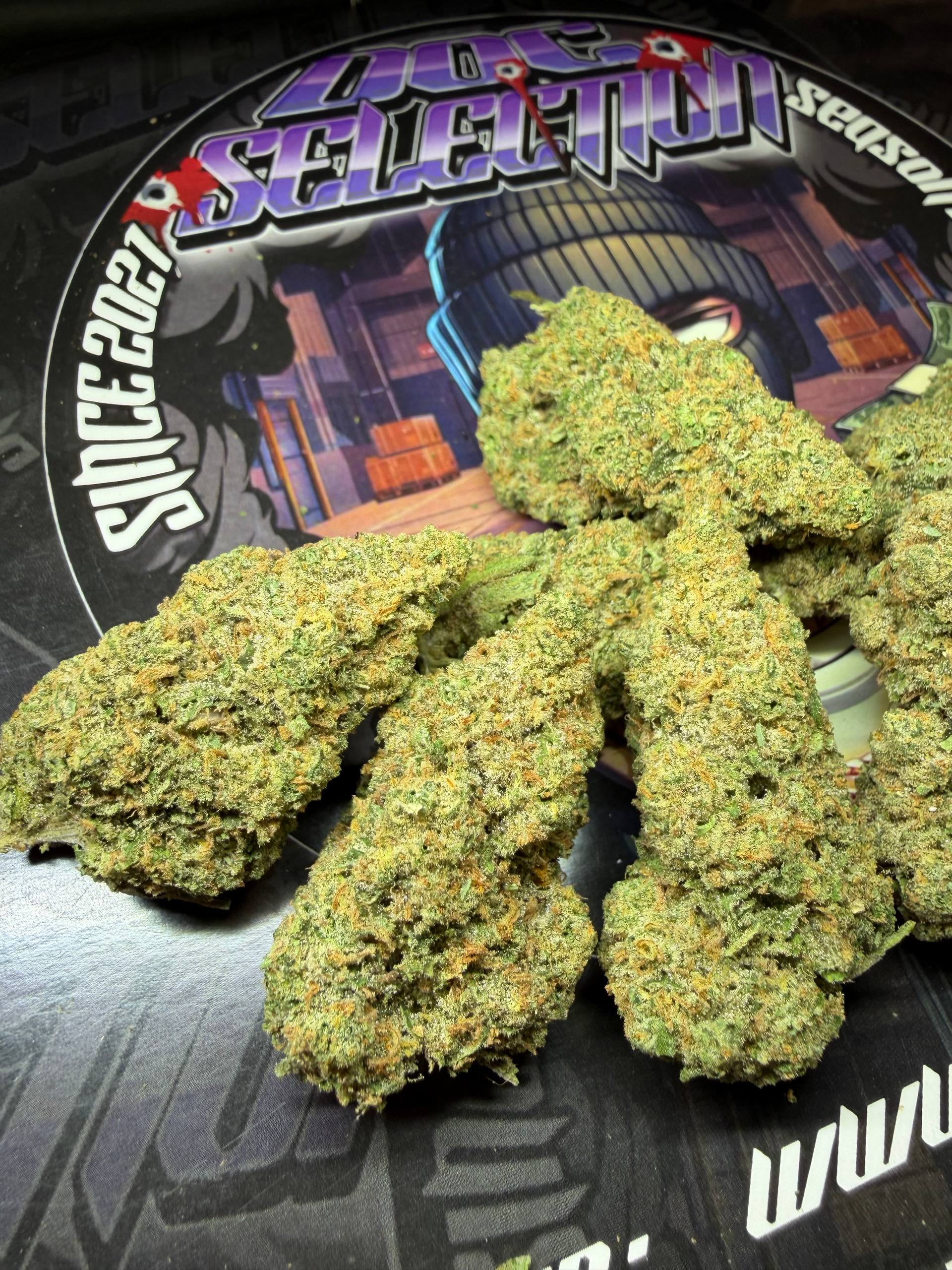 Top Shelf Doc. Grow Spain - G63 PEACH