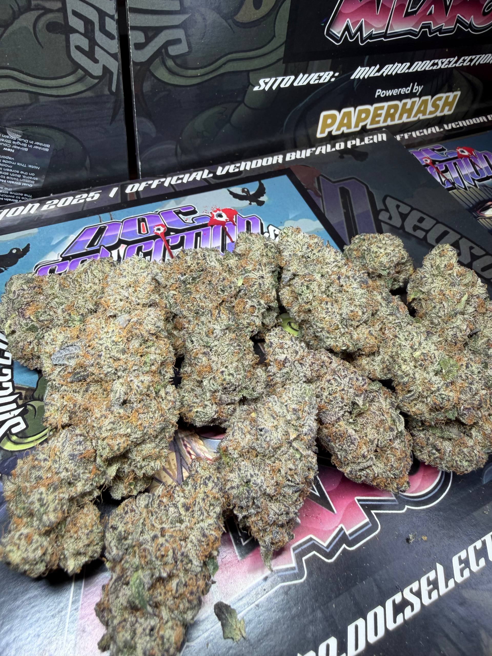 Cali Doc grow ITA - SUPER BOOF x CHERRY