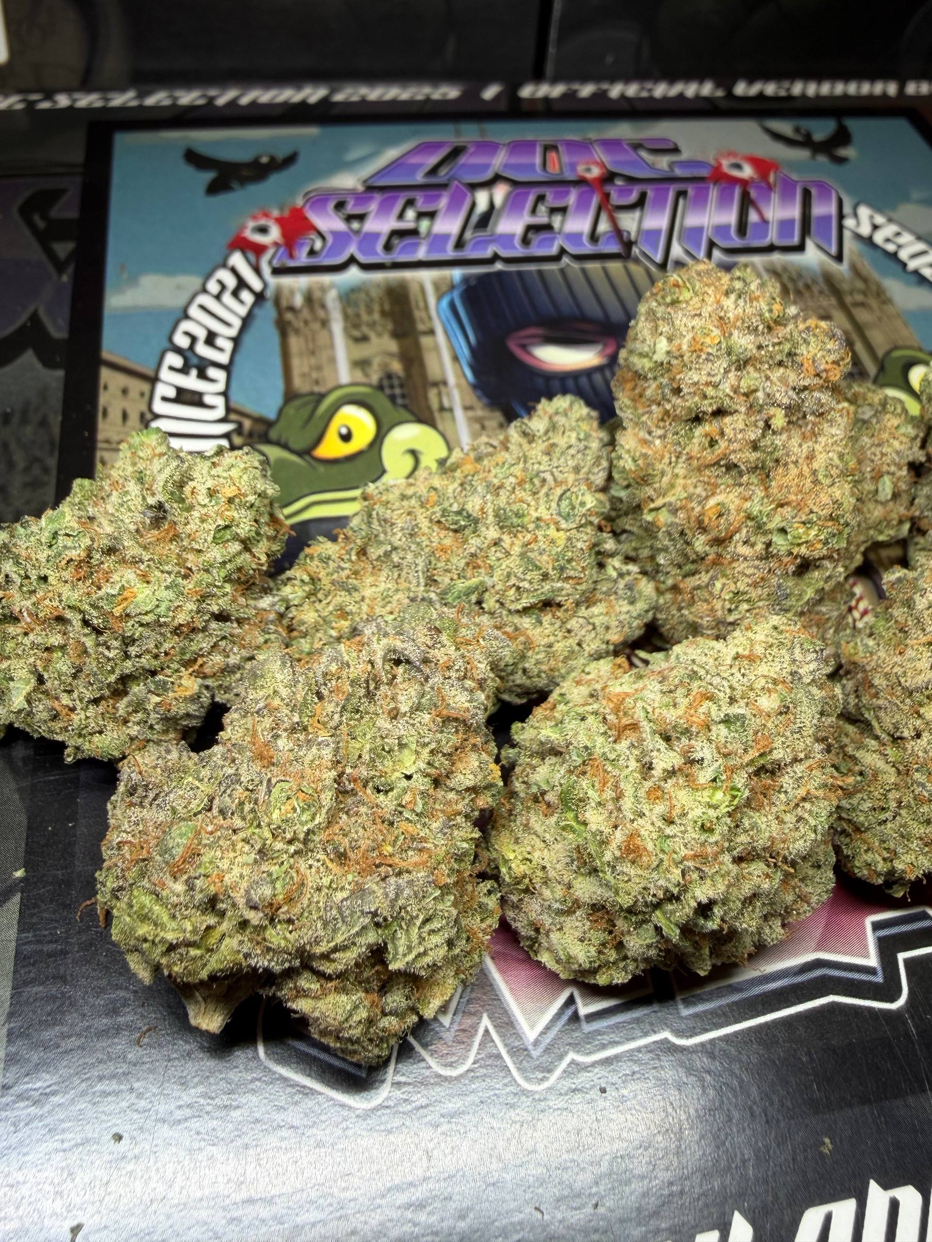 TOP Spali Doc. Grow Spain - WHITE GELLO FROST