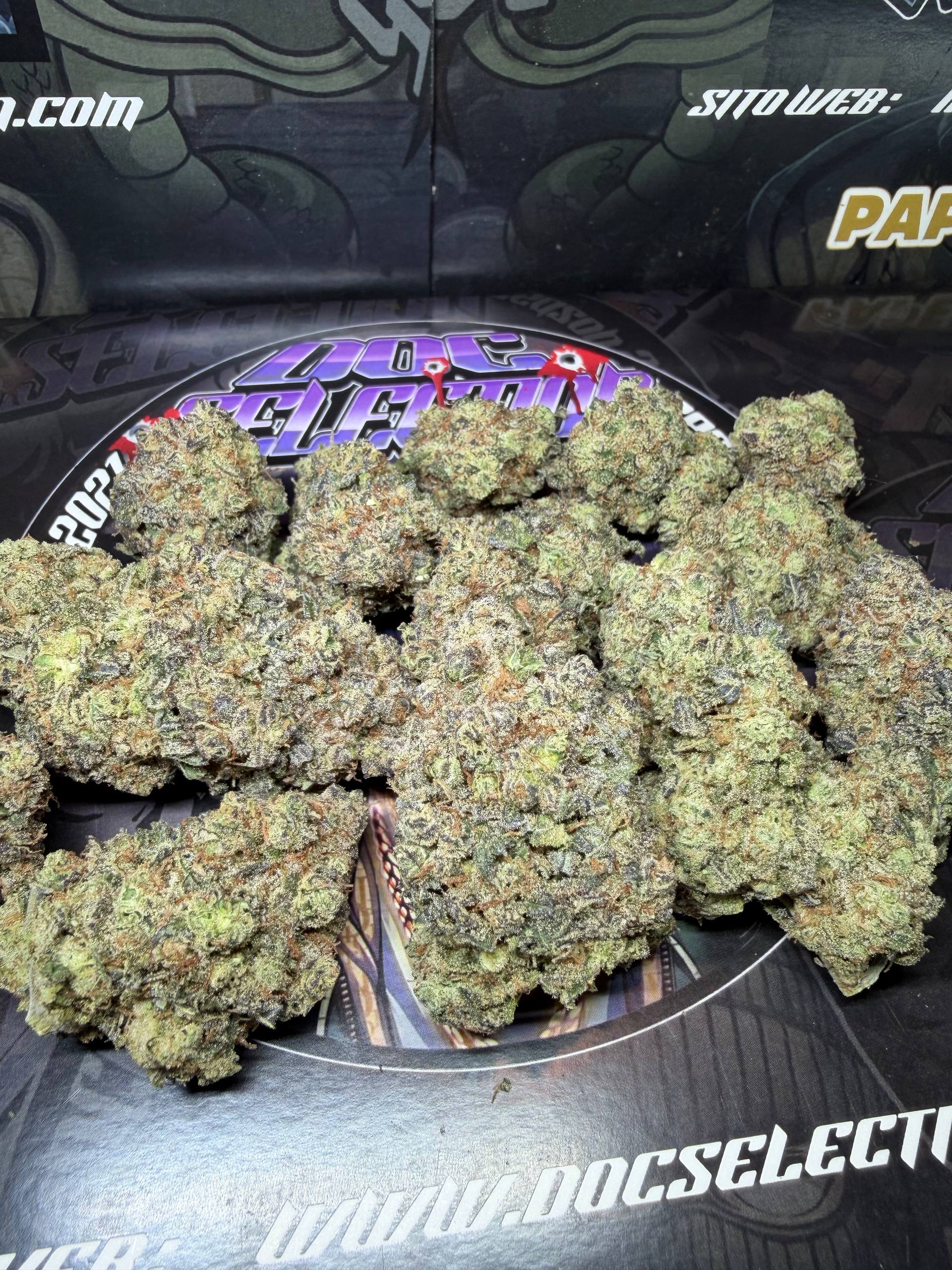TOP Spali Doc. Grow Spain - TRAP GAS BERRY