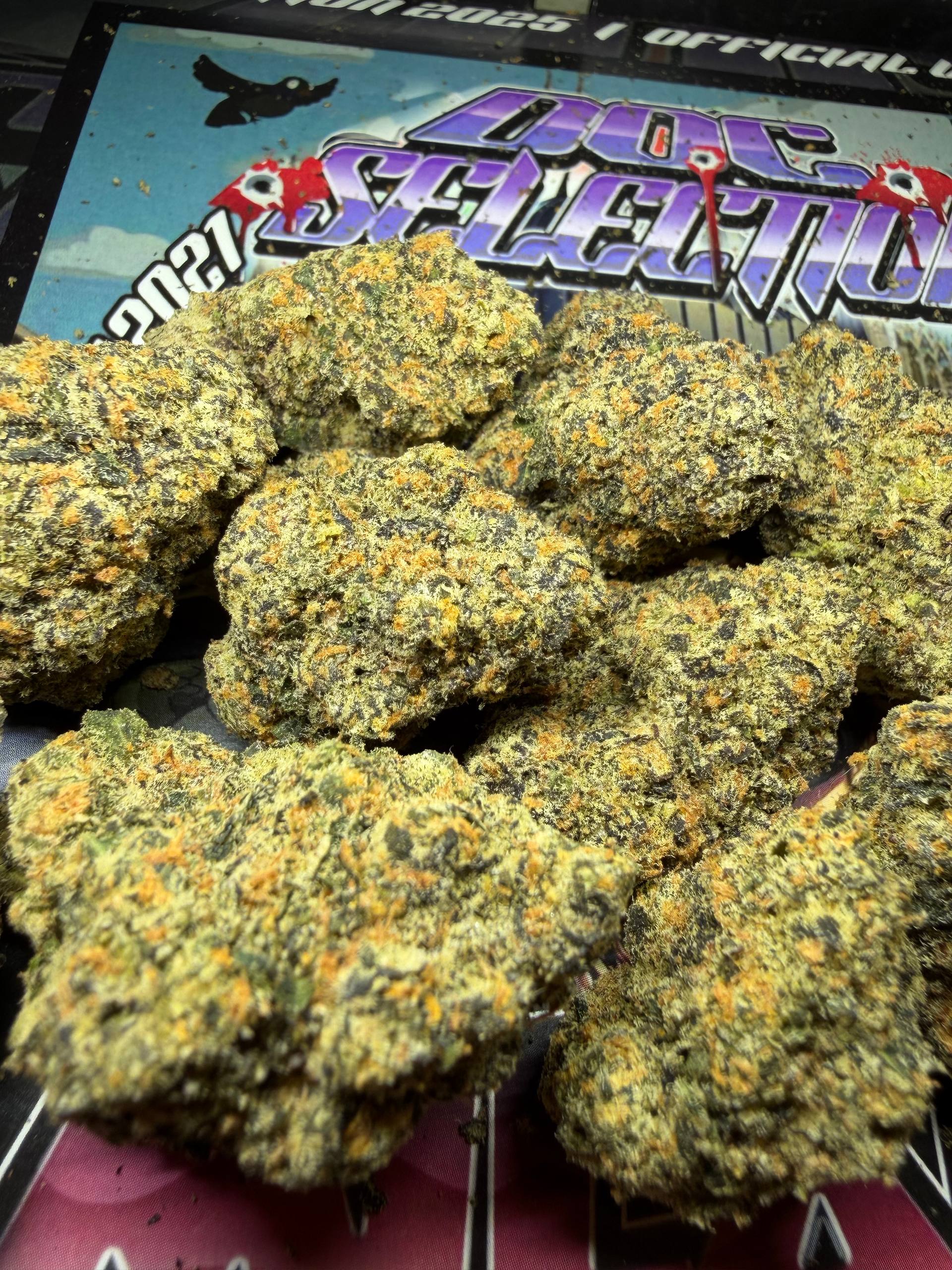 TOP Spali Doc. Grow Spain - TROPICANA RAZPBERRY