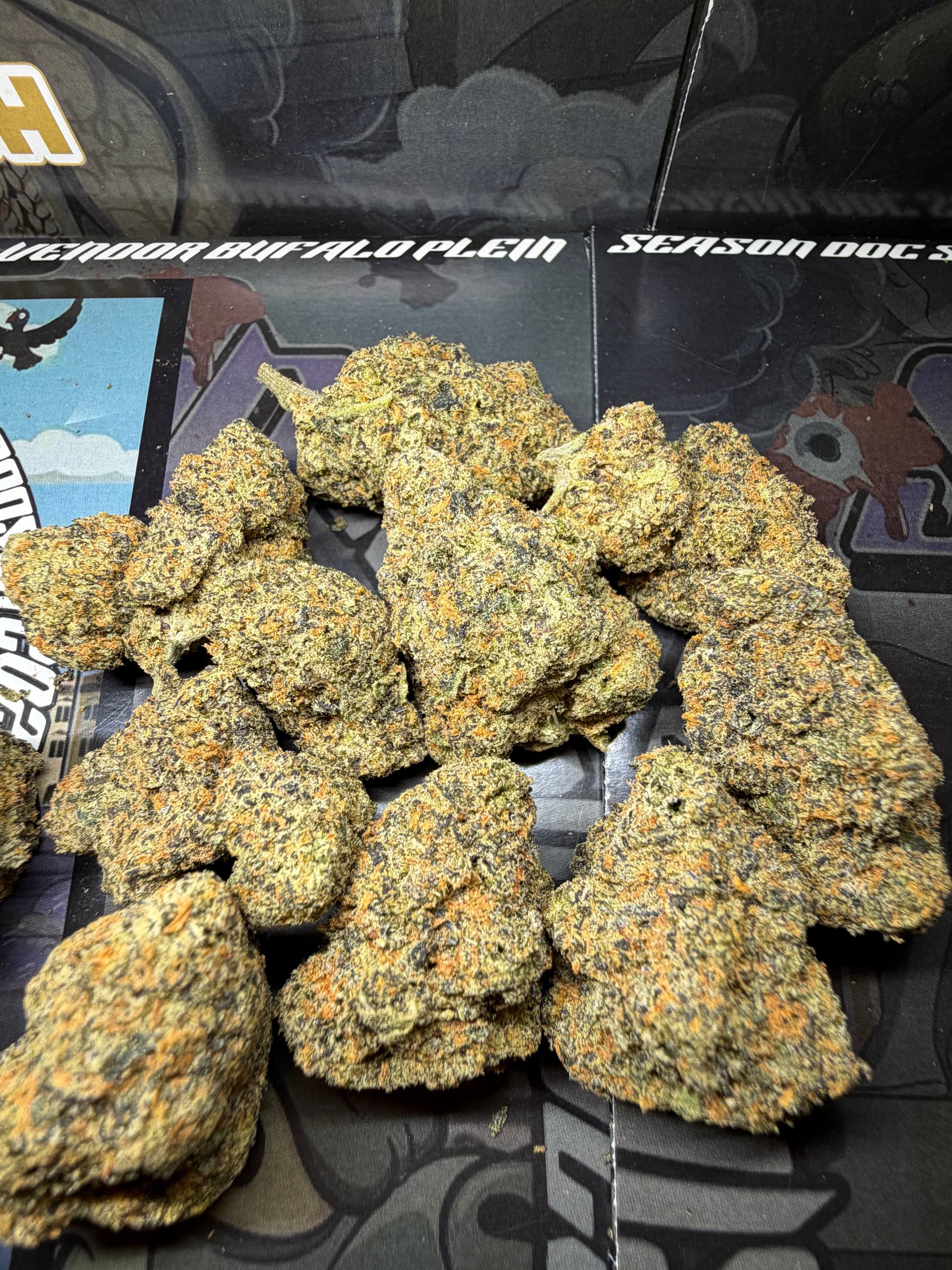 Cali Imported  Bufalo Plein - RUNTZBERRY
