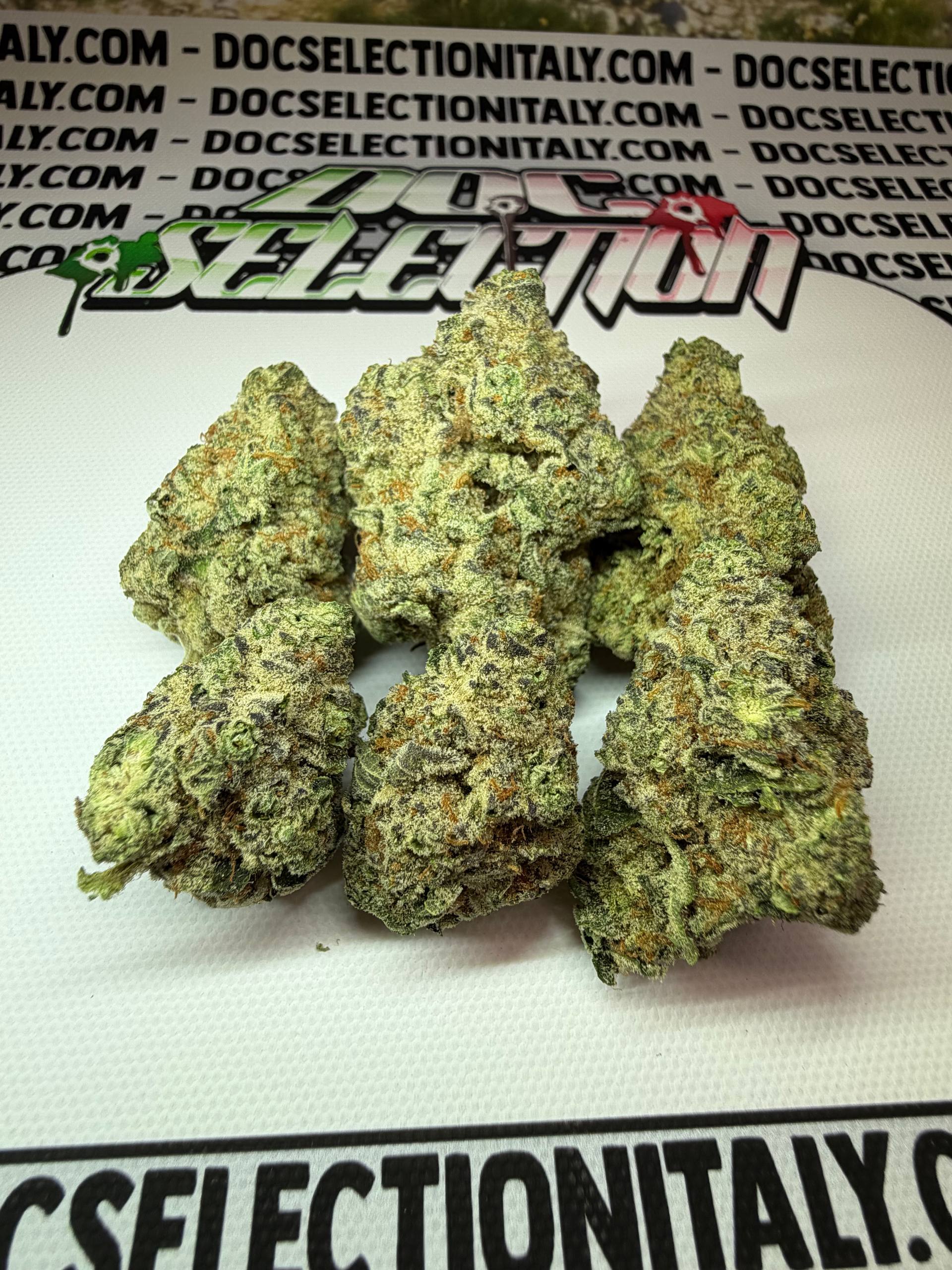 TOP Spali Doc. Grow Spain - LEMON LIMEZ