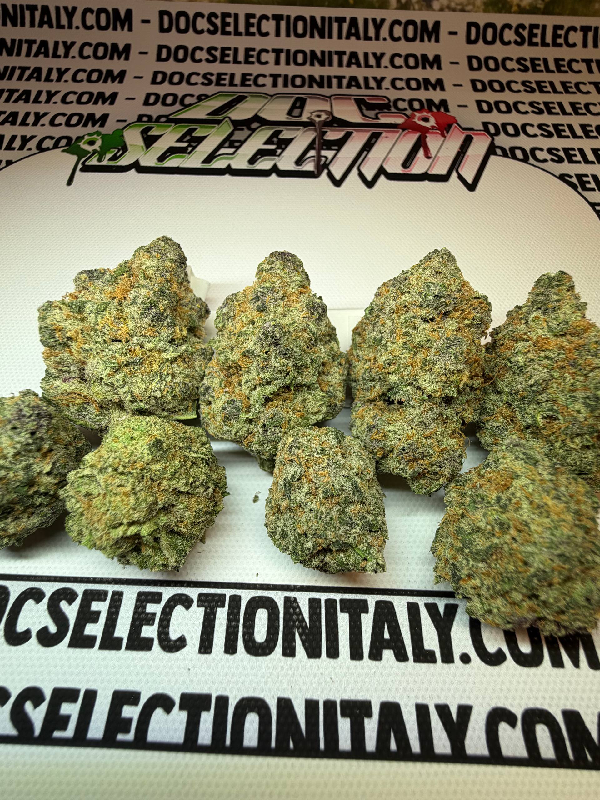 TOP Spali Doc. Grow Spain - CHERRY BOMB