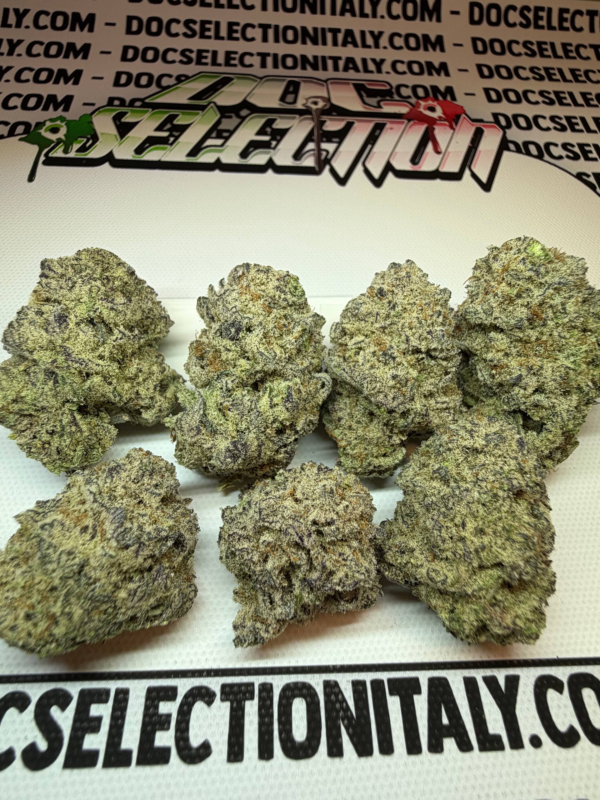 TOP Spali Doc. Grow Spain - MANDARINA LOVERZ