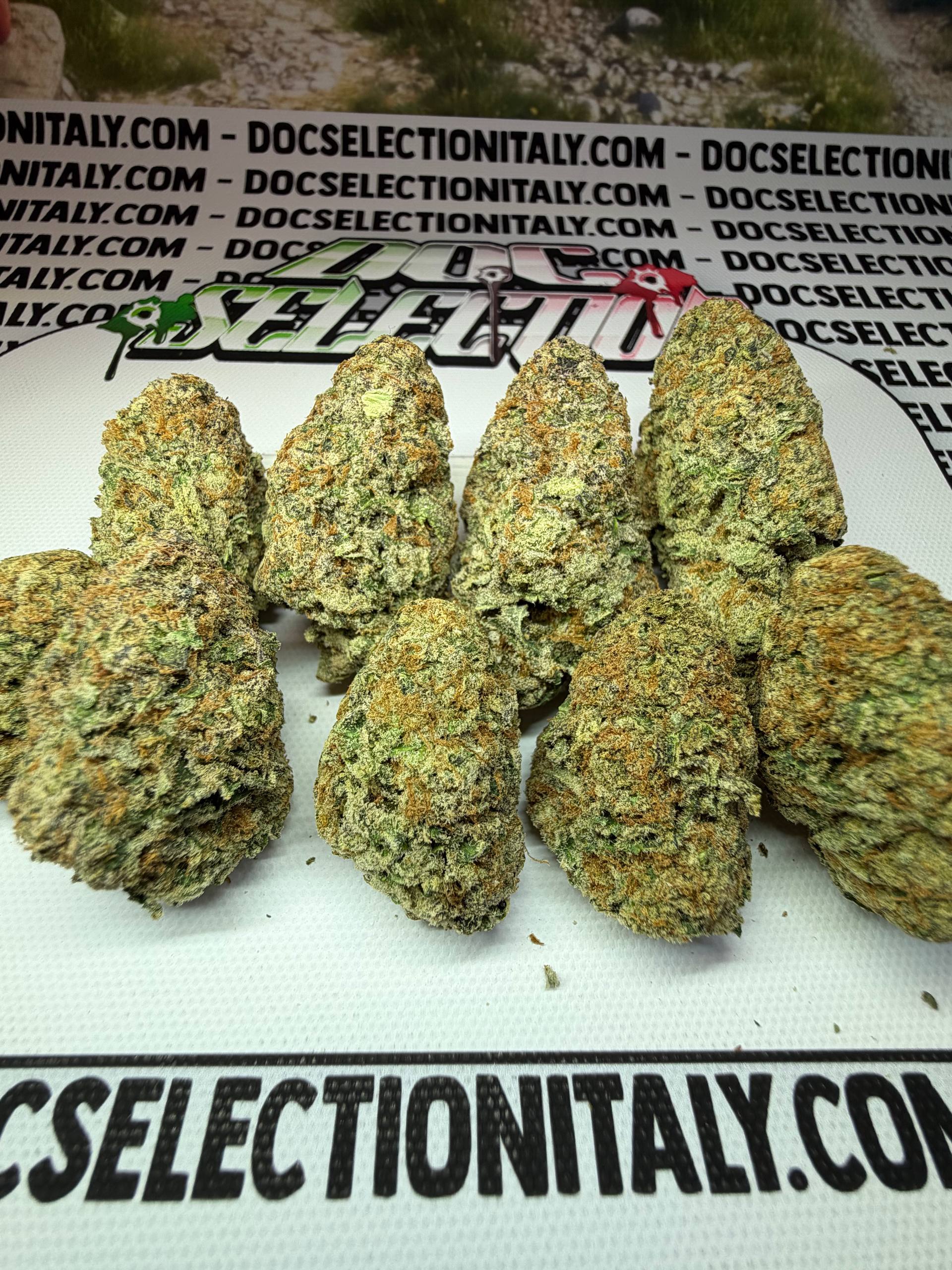 TOP Spali Doc. Grow Spain - CHEETOS TWISTER