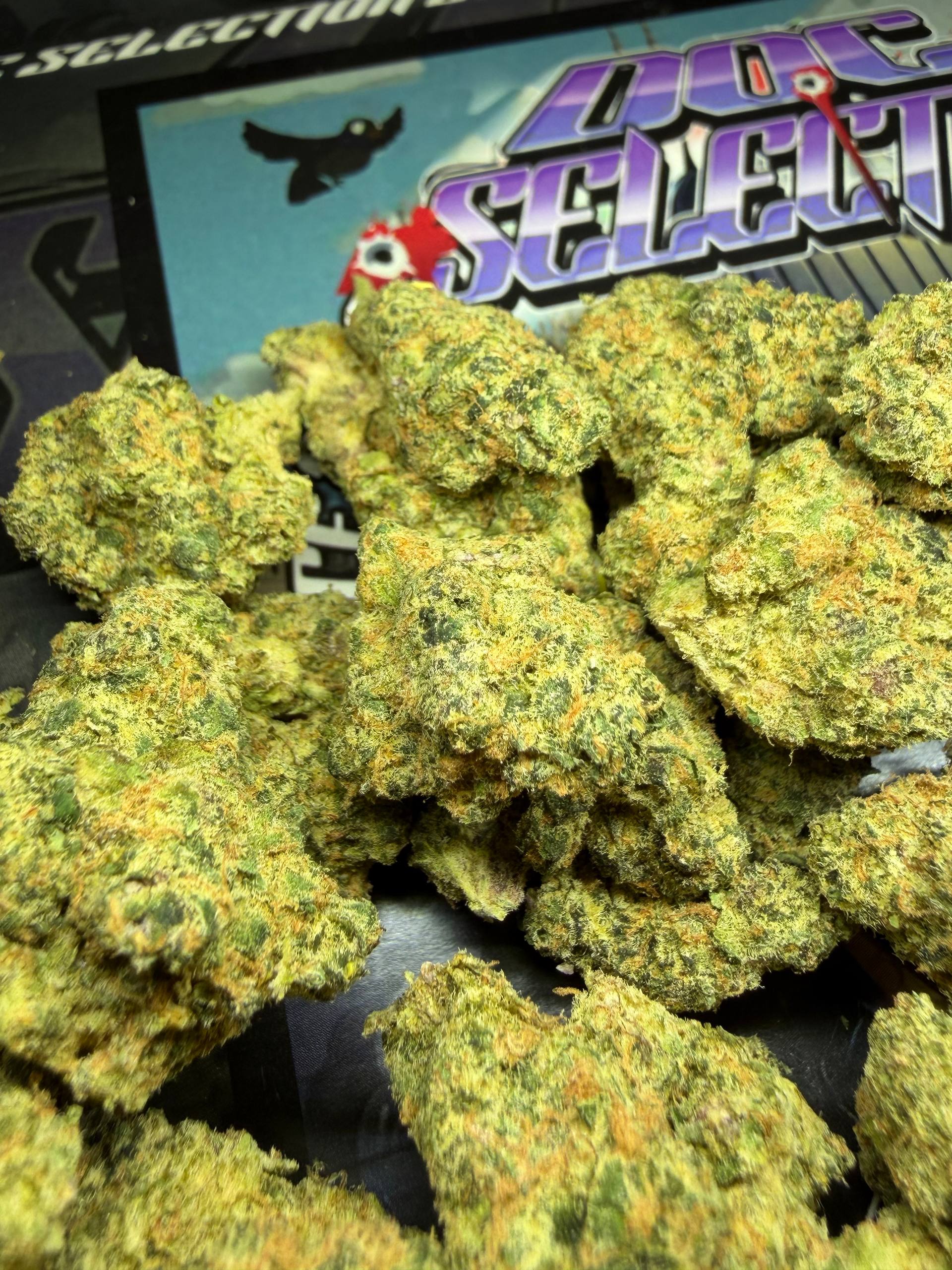   Cali Imported Bufalo Plein - CHERRY BOOF